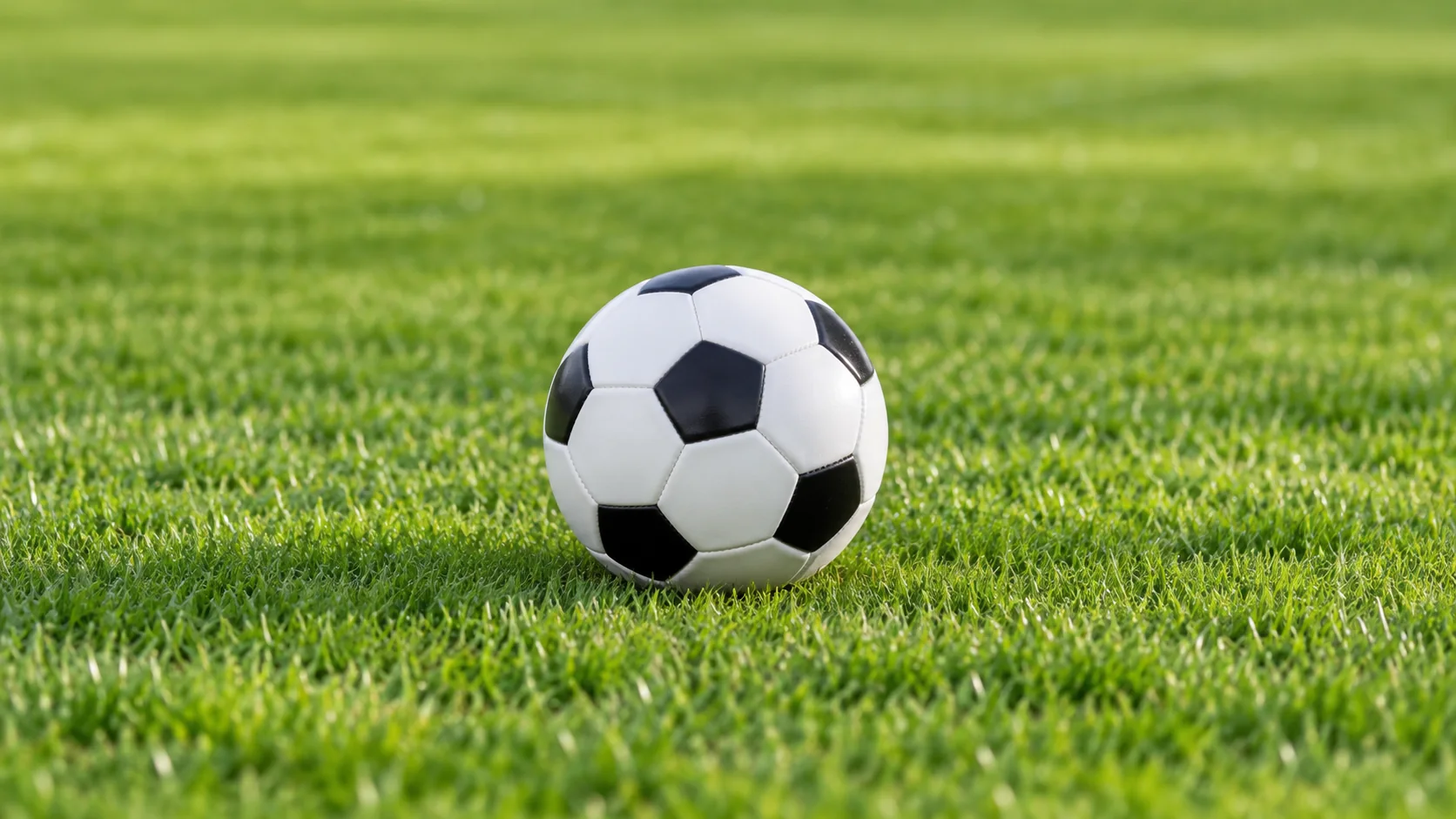1606437277(1).png